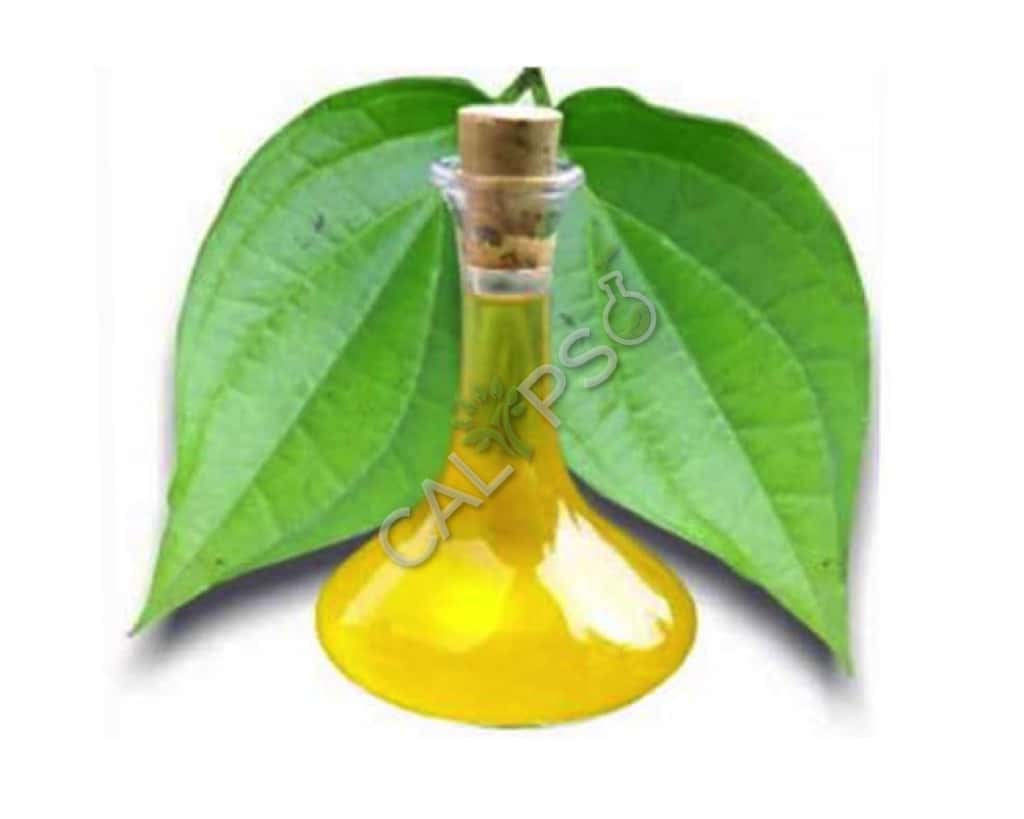 Comprar betel hoja natural esencial aceite